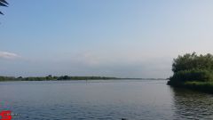 03 Juni 2019 :: Werkendamsveer 3 juni 2019 03 Juni 2019 :: Werkendamsveer 3 juni 2019
