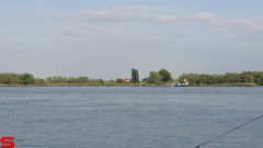 [Dier en Natuur] :: Werkendamsveer 3 juni 2019 (12)