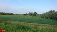 [Dier en Natuur] :: Werkendamsveer 3 juni 2019 (13)