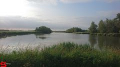 [Dier en Natuur] :: Werkendamsveer 3 juni 2019 (14)