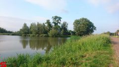 [Dier en Natuur] :: Werkendamsveer 3 juni 2019 (18)