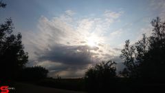 [Dier en Natuur] :: Werkendamsveer 3 juni 2019 (5)