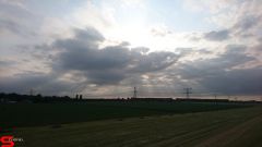[Dier en Natuur] :: Werkendamsveer 3 juni 2019 (7)
