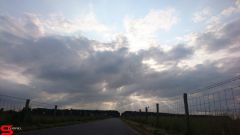 [Dier en Natuur] :: Werkendamsveer 3 juni 2019 (8)