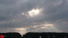[Dier en Natuur] :: Werkendamsveer 3 juni 2019 (9)