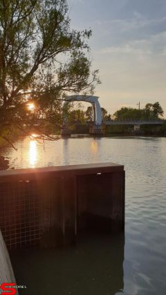 [Dier en Natuur] :: Wantijdijk 14 juni 2019 (5)