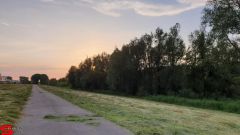 [Dier en Natuur] :: Wantijdijk 14 juni 2019 (8)