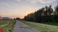 [Dier en Natuur] :: Wantijdijk 14 juni 2019 (9)