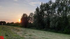 [Dier en Natuur] :: Wantijdijk 14 juni 2019 (10)