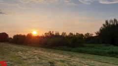 [Dier en Natuur] :: Wantijdijk 14 juni 2019 (14)