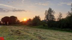 [Dier en Natuur] :: Wantijdijk 14 juni 2019 (16)