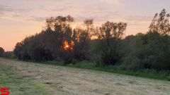[Dier en Natuur] :: Wantijdijk 14 juni 2019 (8)