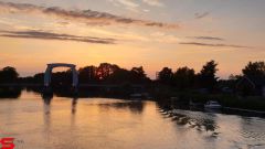 [Dier en Natuur] :: Wantijdijk 14 juni 2019 (15)