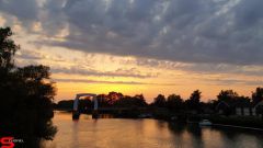 [Dier en Natuur] :: Wantijdijk 14 juni 2019 (18)