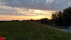 [Dier en Natuur] :: Wantijdijk 14 juni 2019 (5)