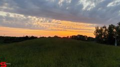 [Dier en Natuur] :: Wantijdijk 14 juni 2019 (6)