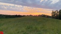 [Dier en Natuur] :: Wantijdijk 14 juni 2019 (8)