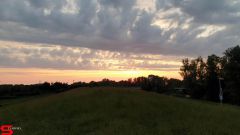 [Dier en Natuur] :: Wantijdijk 14 juni 2019 (11)