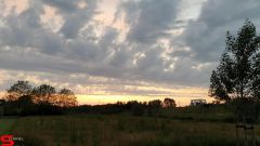 [Dier en Natuur] :: Wantijdijk 14 juni 2019 (14)