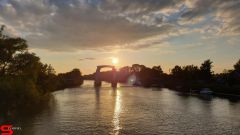 [Dier en Natuur] :: Wantijdijk 16 juni 2019 (6)