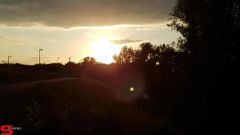 [Dier en Natuur] :: Wantijdijk 16 juni 2019 (15)