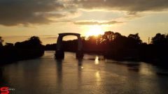 [Dier en Natuur] :: Wantijdijk 16 juni 2019 (16)