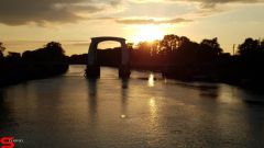 [Dier en Natuur] :: Wantijdijk 16 juni 2019 (17)