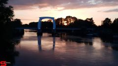 [Dier en Natuur] :: Wantijdijk 16 juni 2019 (8)