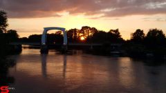 [Dier en Natuur] :: Wantijdijk 16 juni 2019 (9)