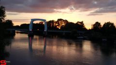 [Dier en Natuur] :: Wantijdijk 16 juni 2019 (10)