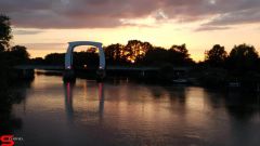 [Dier en Natuur] :: Wantijdijk 16 juni 2019 (11)