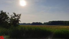 [Dier en Natuur] :: Rondje Dordt 25 juni 2019 (7)