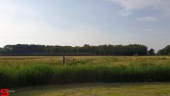 [Dier en Natuur] :: Rondje Dordt 25 juni 2019 (9)