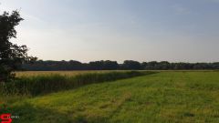 [Dier en Natuur] :: Rondje Dordt 25 juni 2019 (12)