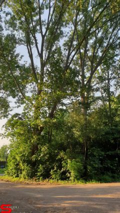 [Dier en Natuur] :: Rondje Dordt 25 juni 2019 (16)