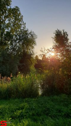 [Dier en Natuur] :: Wantijdijk 26 juni 2019 (6)