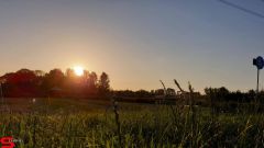 [Dier en Natuur] :: Wantijdijk 26 juni 2019 (7)