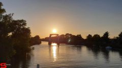 [Dier en Natuur] :: Wantijdijk 26 juni 2019 (9)