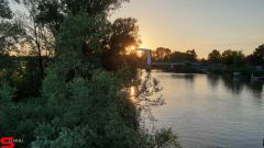 [Dier en Natuur] :: Wantijdijk 26 juni 2019 (10)