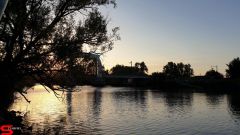 [Dier en Natuur] :: Wantijdijk 26 juni 2019 (12)