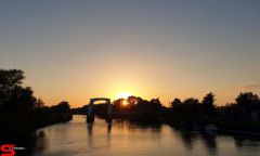 [Dier en Natuur] :: Wantijdijk 26 juni 2019 (14)