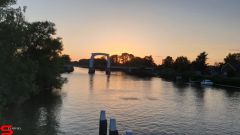 [Dier en Natuur] :: Wantijdijk 26 juni 2019 (16)