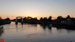 [Dier en Natuur] :: Wantijdijk 26 juni 2019 (17)
