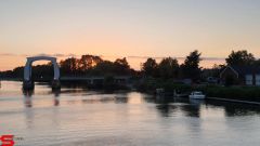 [Dier en Natuur] :: Wantijdijk 26 juni 2019 (18)