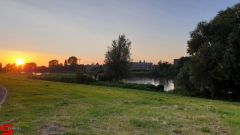 [Dier en Natuur] :: Rondje Dordt 29 juni 2019 (4)