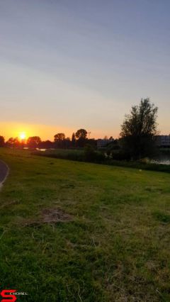 [Dier en Natuur] :: Rondje Dordt 29 juni 2019 (5)