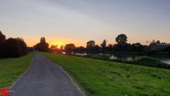 [Dier en Natuur] :: Rondje Dordt 29 juni 2019 (6)