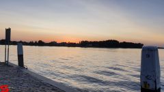 [Dier en Natuur] :: Rondje Dordt 29 juni 2019 (8)