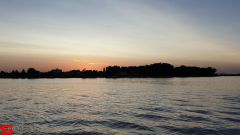 [Dier en Natuur] :: Rondje Dordt 29 juni 2019 (9)