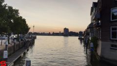 [Dier en Natuur] :: Rondje Dordt 29 juni 2019 (12)